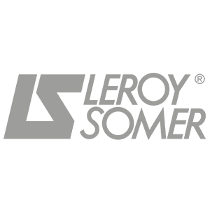 leroysomer